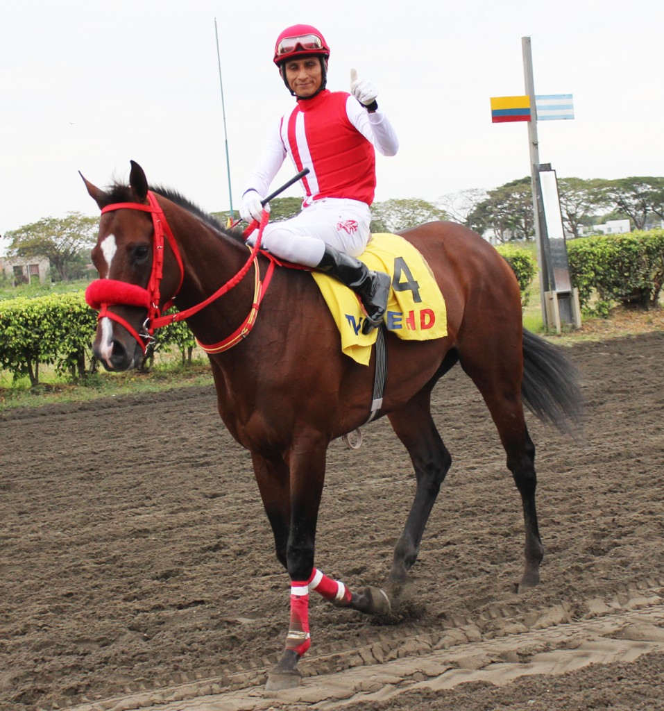 Mimo, the national champion horse, giving success to his owner Alvaro Noboa